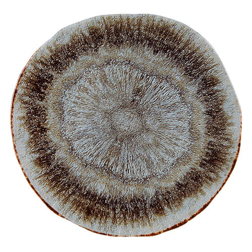 Iris Presentation Plate 31 cm/12″ Box of 6