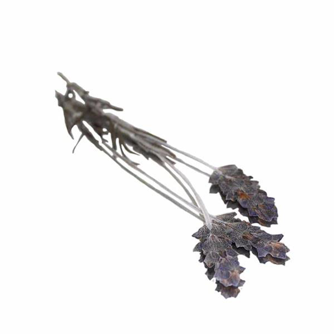 Pressed Lavender Flowers, Count: 10