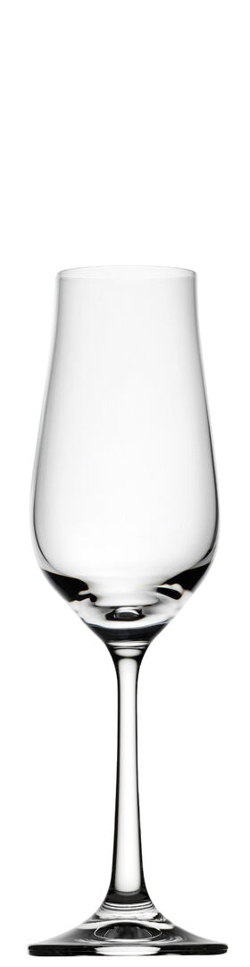 Praline Prosecco 5.75oz (16cl) – Box of 4