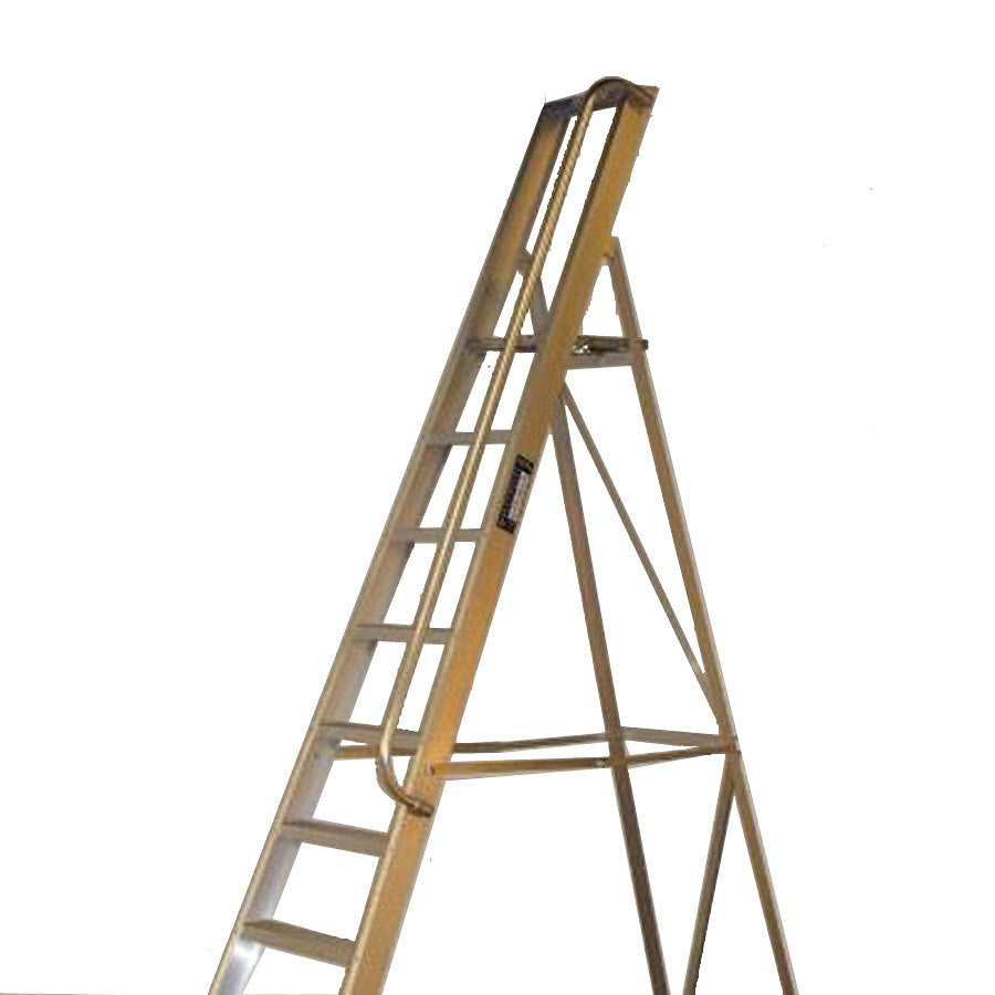 LADDER 9 TREAD PLUS RIGHT HAND RAIL NR