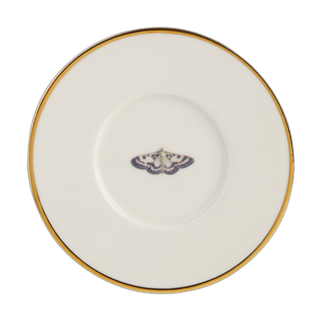 Botanical Saucer 15cm / 6" Box of 6