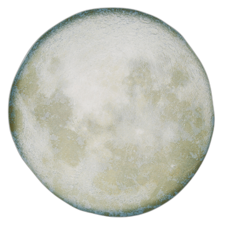 Selene Plate 28 cm / 11" Box of 6