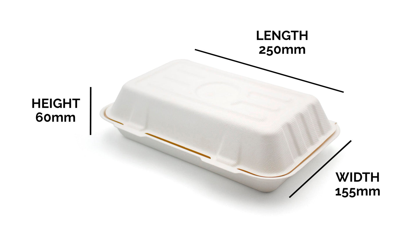 Medium Bagasse Bio Box Case of 250
