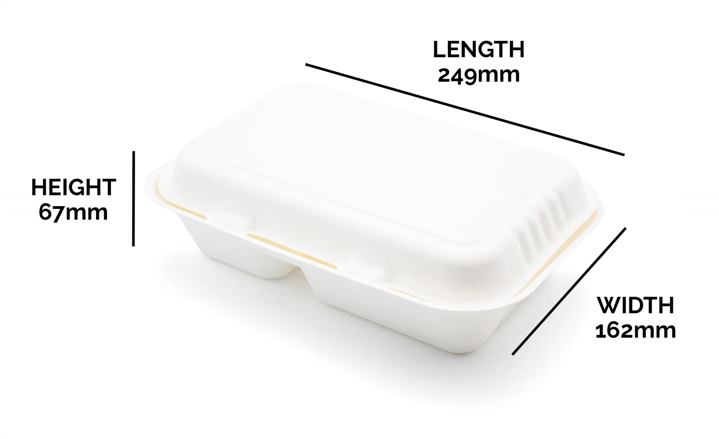 Bagasse Lunch Box 2 Compartment 9.8 x 6" Case of 250
