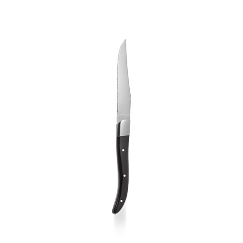 Steak Knife 22.5Cm Box 6
