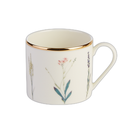 Botanical Cup 18cl / 6¼oz Box of 6
