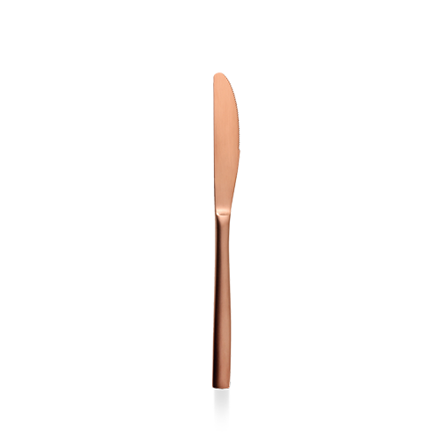 Table Knife 22.1Cm Box 12