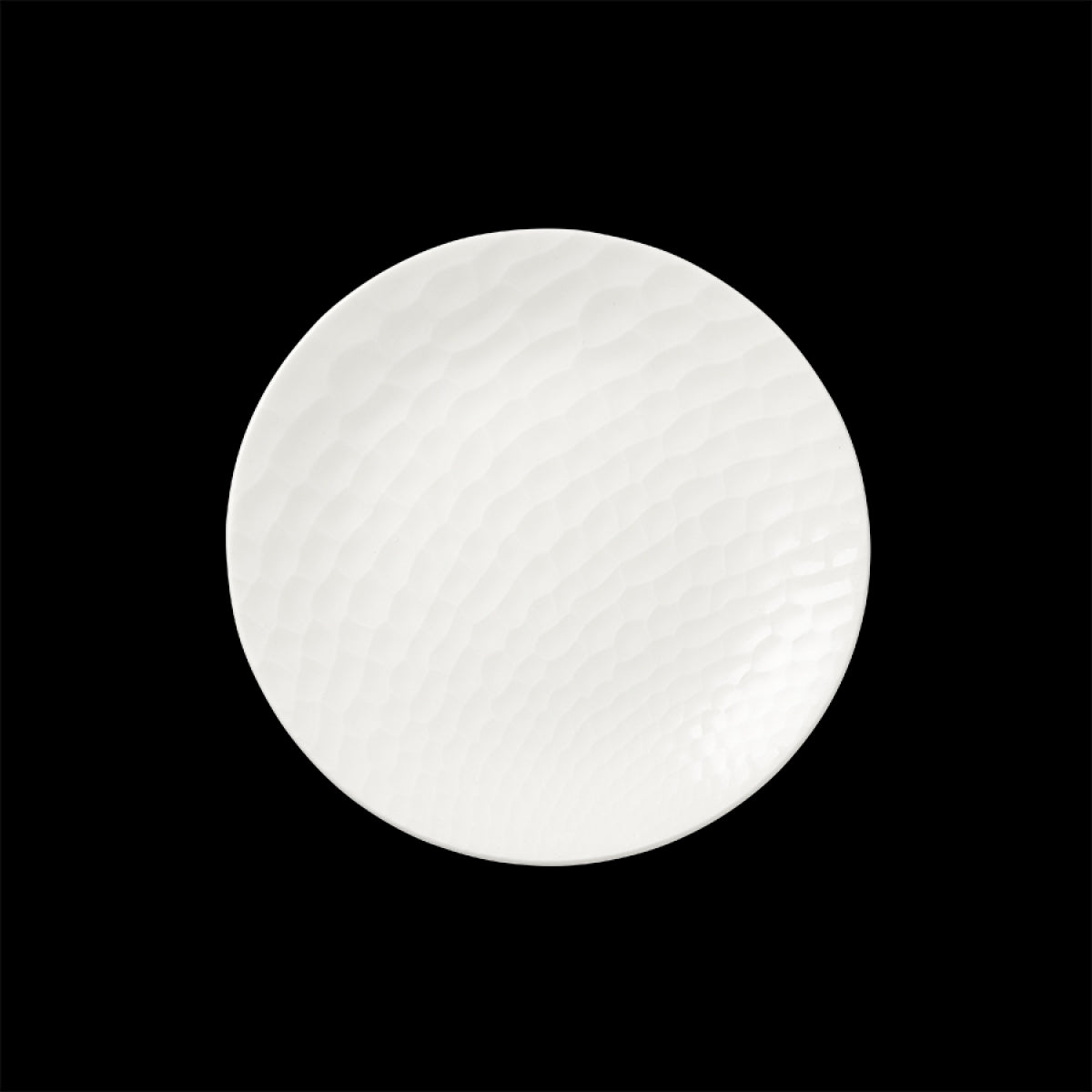 Morella Gourmet Accent Plate 20.25cm (8") Box of 24