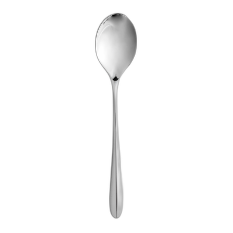 Rio Table Spoon Box of 12