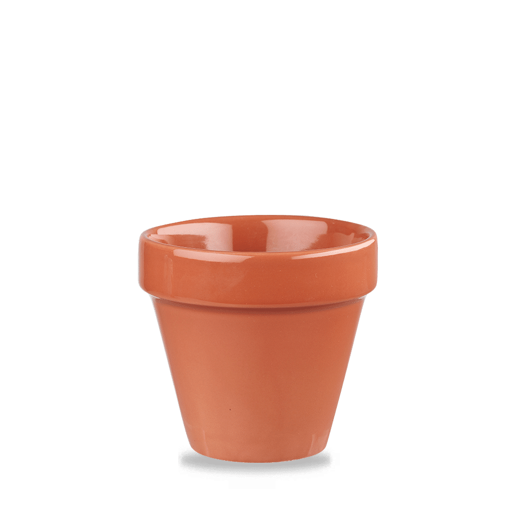 Paprika  Plant Pot 17Oz Box 6