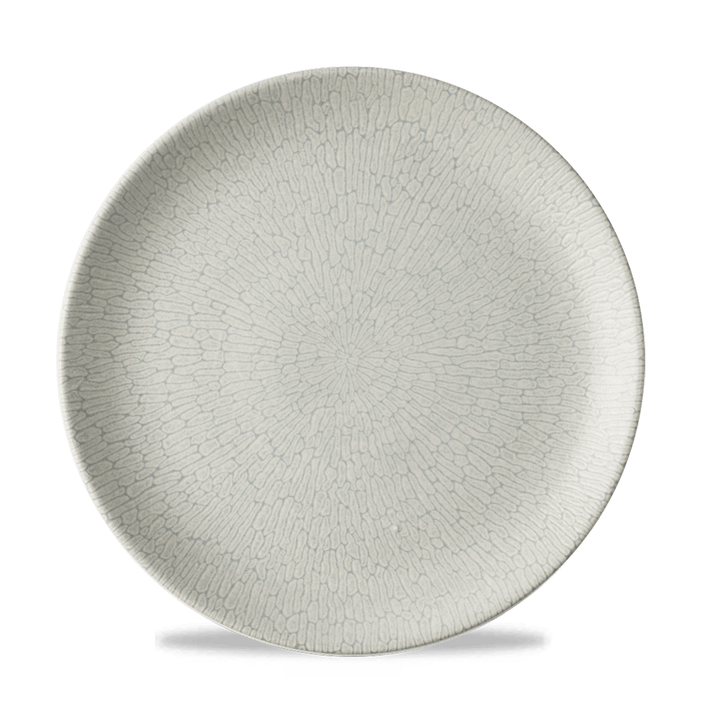 Delta Grey Evolve Plate 10 1/4" Box 12
