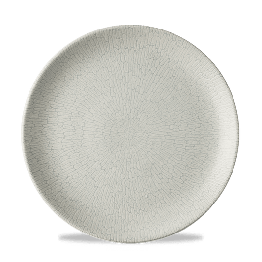 Delta Grey Evolve Plate 10 1/4" Box of 12 (3-5 Working Days Delivery)
