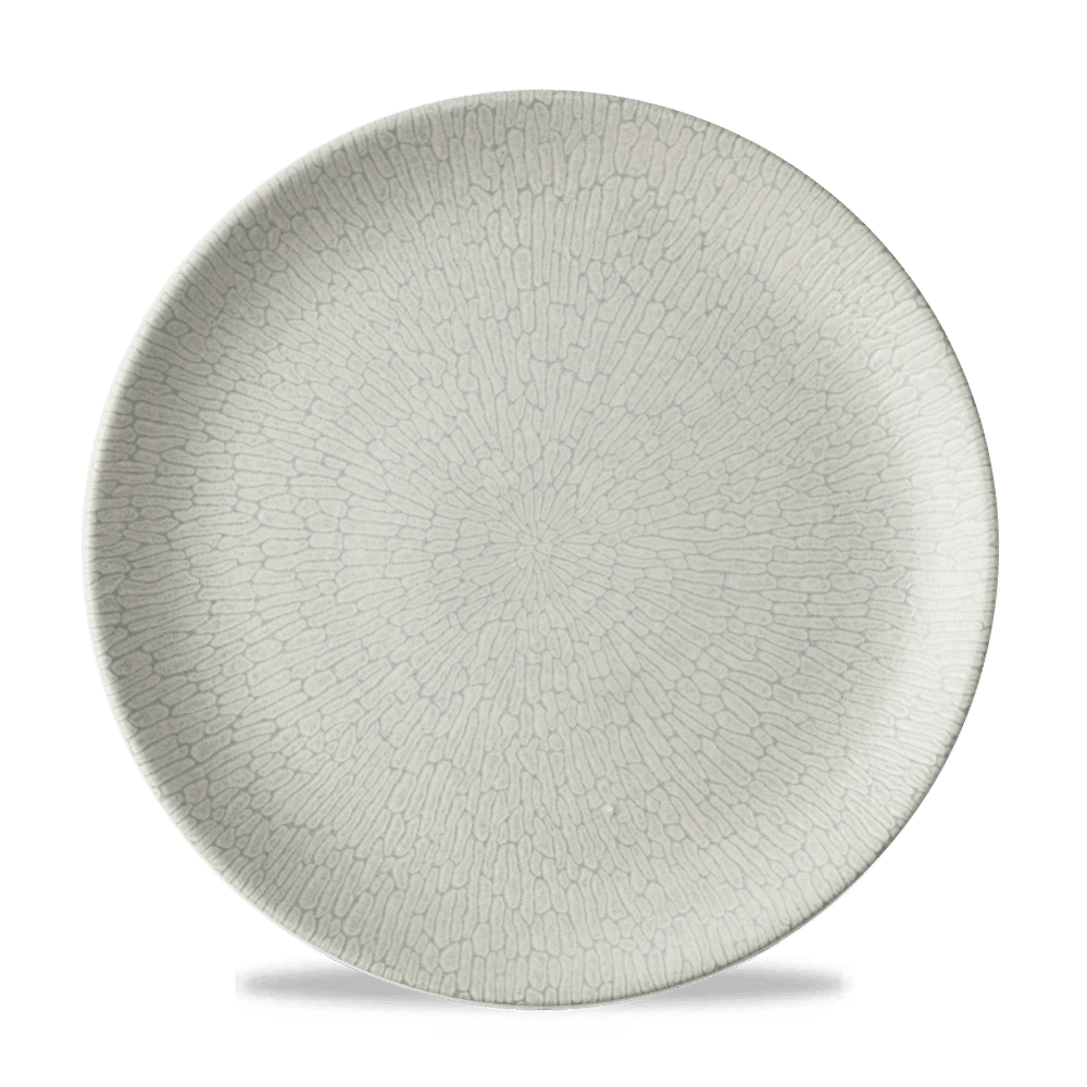 Delta Grey Evolve Plate 11 1/4" Box 12