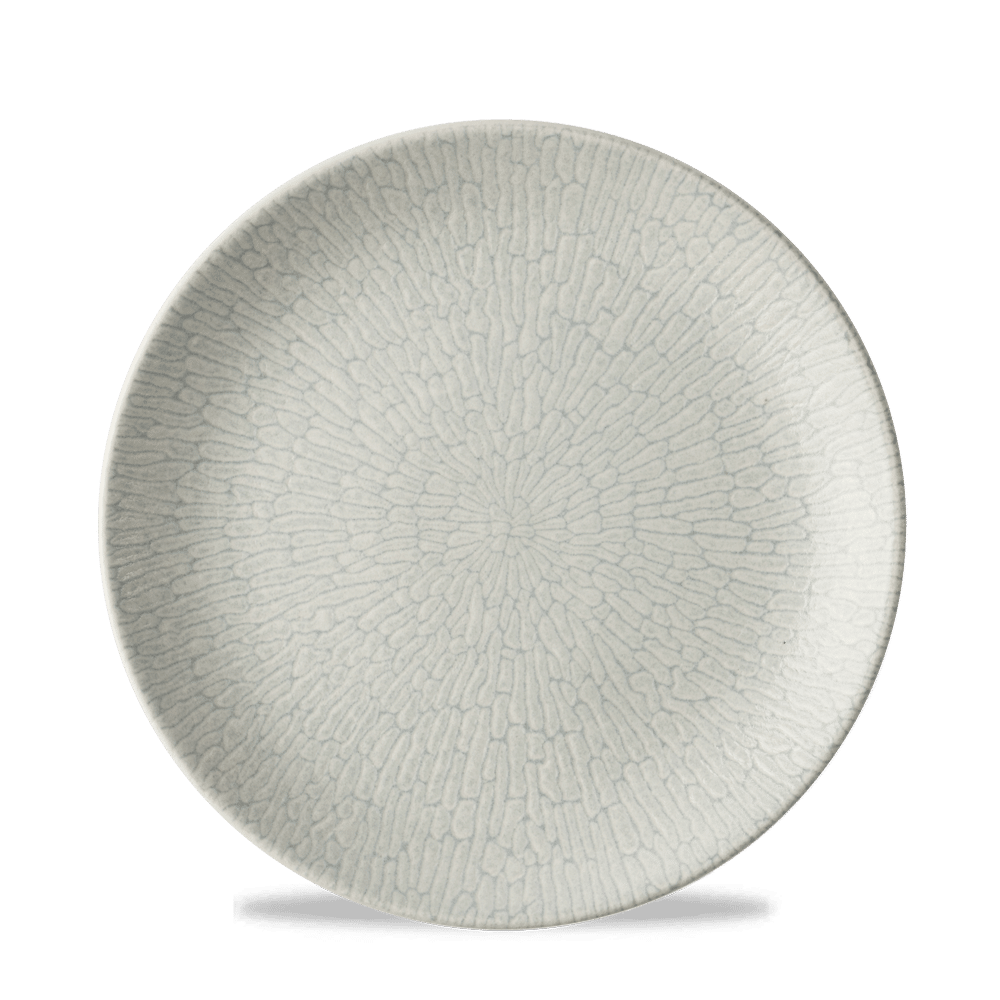 Delta Grey Evolve Plate 8 2/3" Box 12