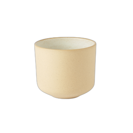 Oyster Side Bowl Box of 6