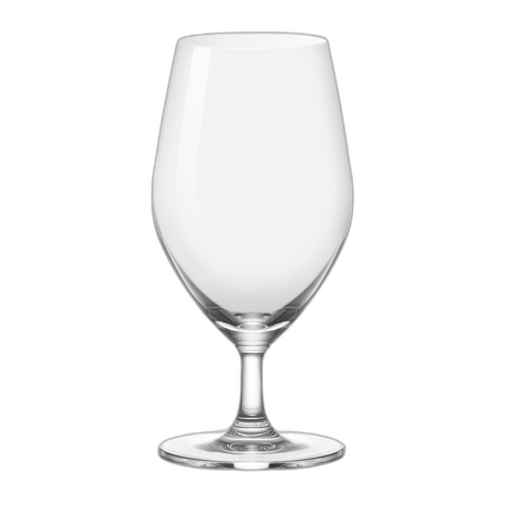Sante Water Goblet Box of 6