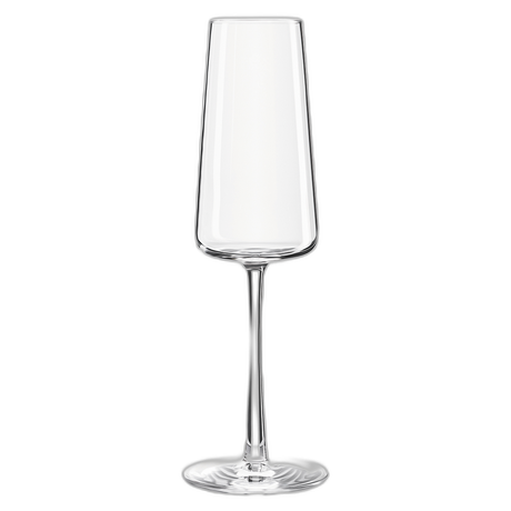 Power Champagne Flute 8.5oz Box of 6