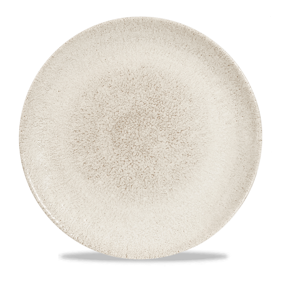 Raku Agate Grey Evolve Coupe Plate 11.25" Box 12