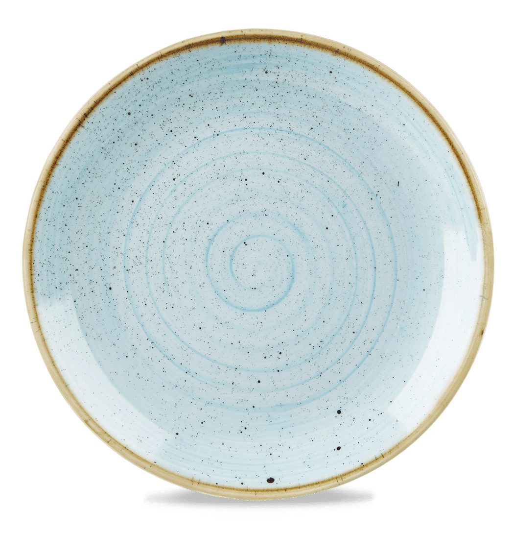Stonecast Duck Egg Coupe Evolve Plate  Box 6