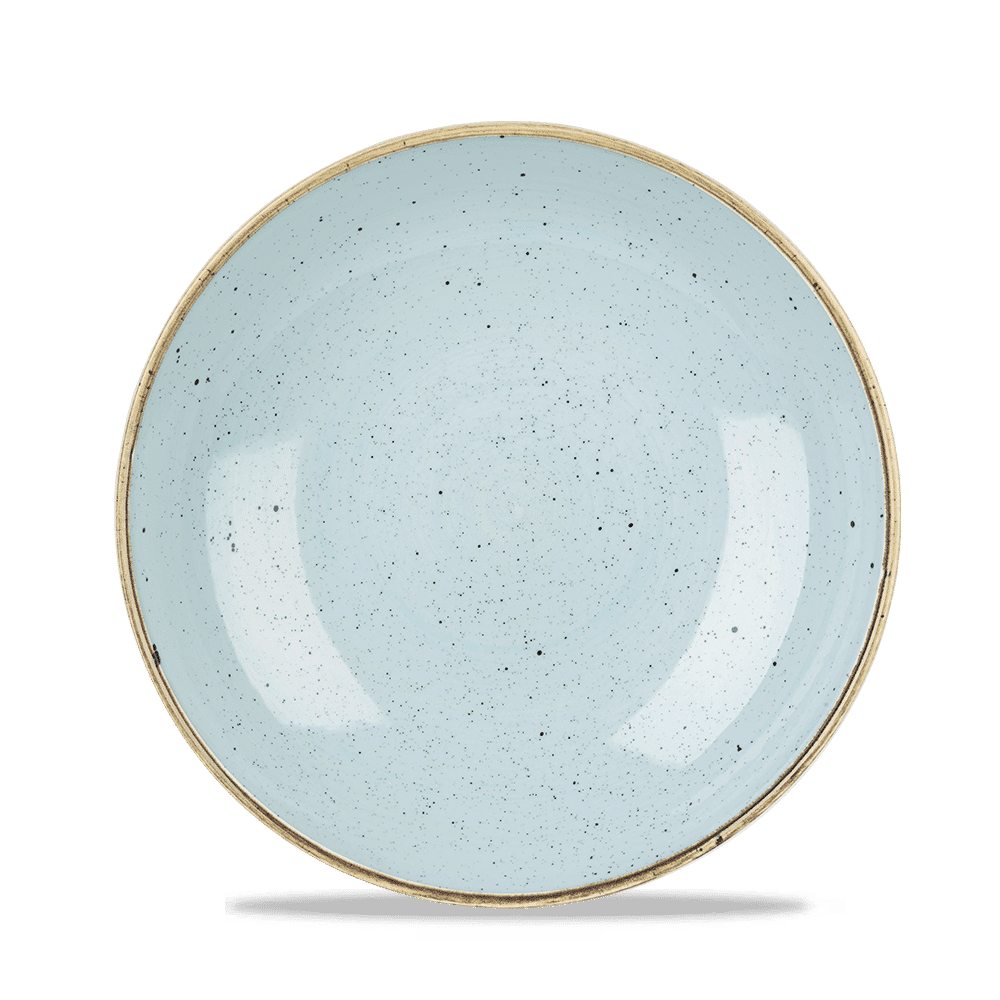 Stonecast Duck Egg Evolve Coupe Bowl 24.8Cm Box 12
