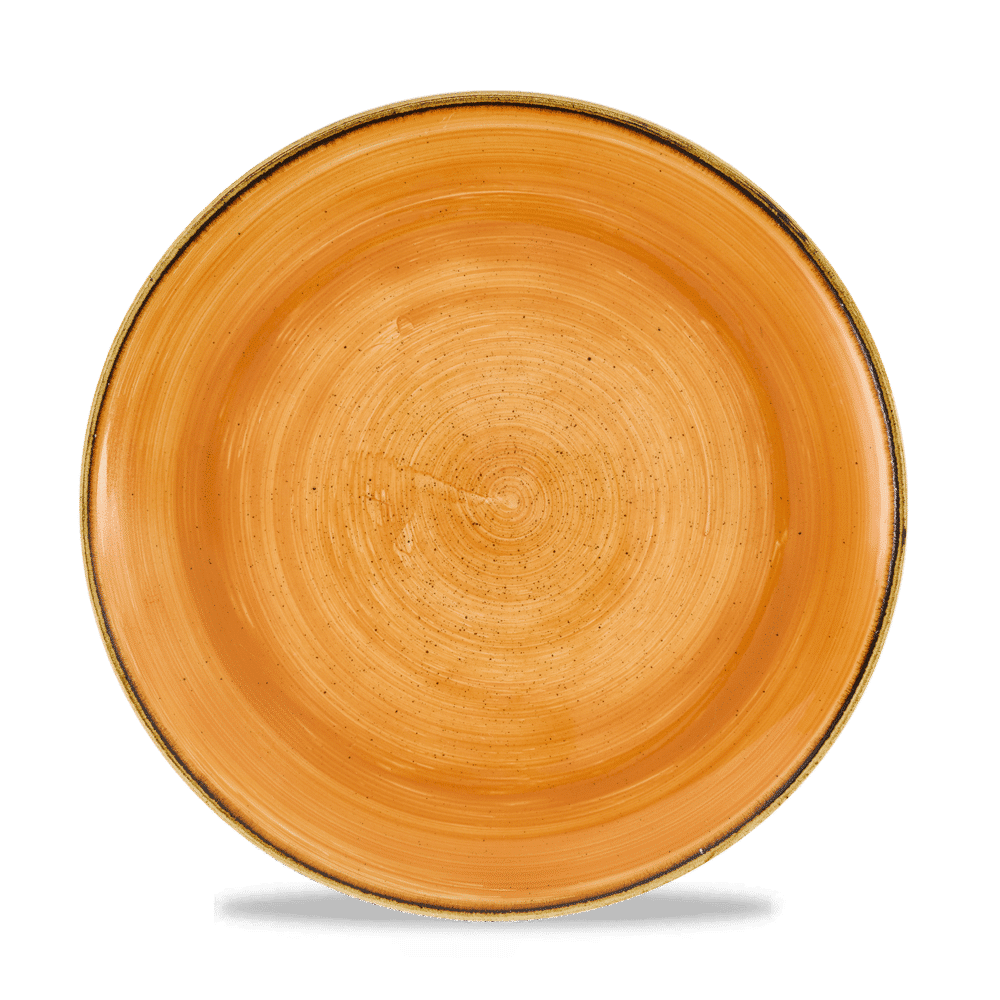 Stonecast Tangerine Evolve Coupe Plate 10.25" Box 12