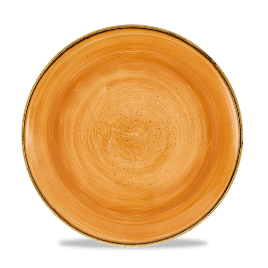 Stonecast Tangerine Evolve Coupe Plate 10.25" Box of 12 (3-5 Working Days Delivery)