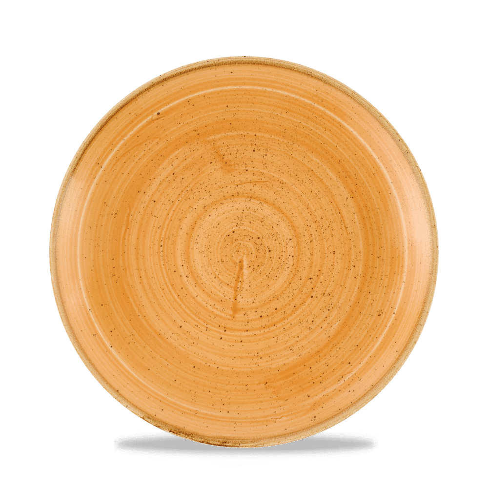 Stonecast Tangerine Evolve Coupe Plate 8.67" Box 12
