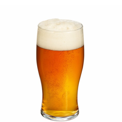 Tulip Beer (t) 57cl UKCA-CE 1 Pint - Headbooster Box of 48