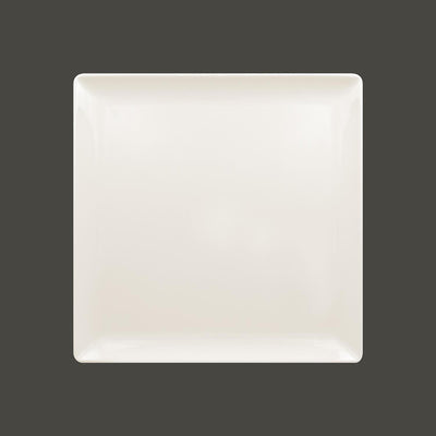 NANO SQUARE PLATE 30CMS                  x6