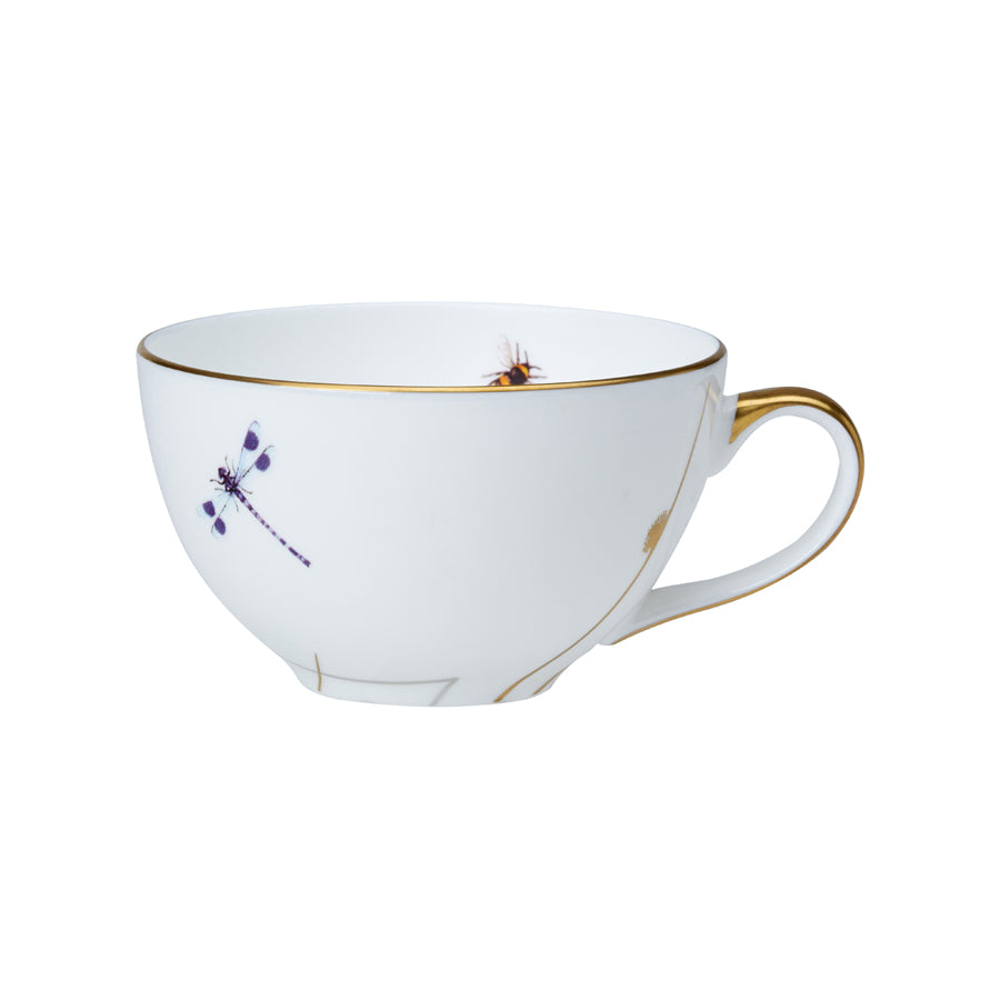 WE REED TEA FOR ONE CUP COUPE 6CM 26CL   x12