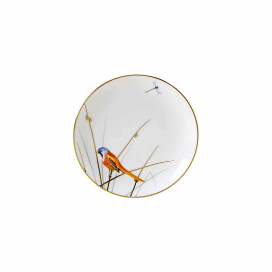 WE REED PLATE COUPE 16.5CM               x12