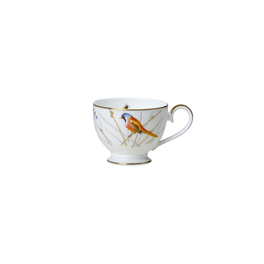 WE REED TEA CUP FOOTED CLASSIC 7CM 22CL  x12