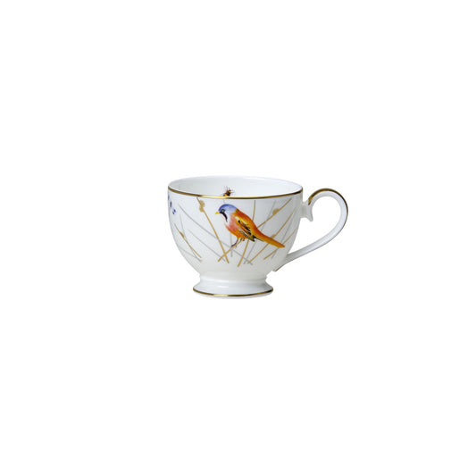 WE REED TEA CUP FOOTED CLASSIC 7CM 22CL  x12
