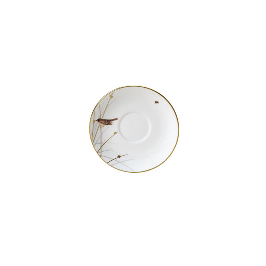 WE REED ESPRESSO SAUCER FITS BP215       x12