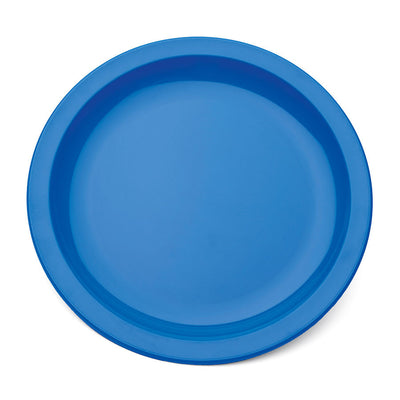 NARROW RIMMED PLATE 9" BLUE             